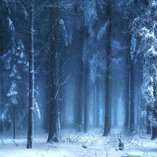 Схема вышивки «Зимняя мгла.»