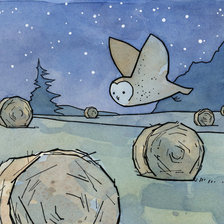 Схема вышивки «Ночной полет»