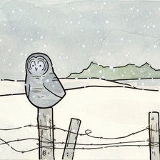 Схема вышивки «сова2»