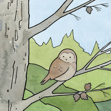 Схема вышивки «Сова5698»