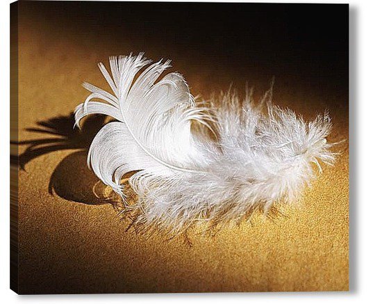 перо 2 - оригинал