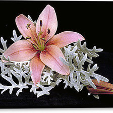 Схема вышивки «лилия»