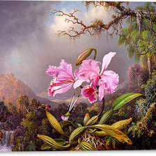 Схема вышивки «цветы»