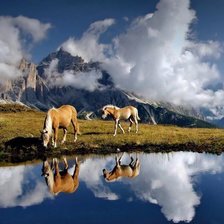 Схема вышивки «лошадки»