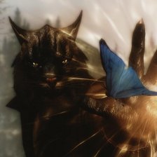 Схема вышивки «Каджит»