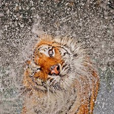 Блаженство....