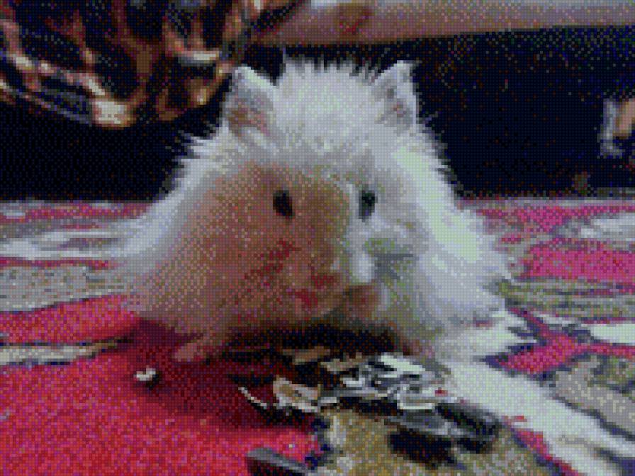 Бобруйка - предпросмотр