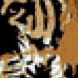 Предпросмотр схемы вышивки «тигры» (№801531)