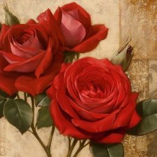 Схема вышивки «Розы Игоря Левашова»