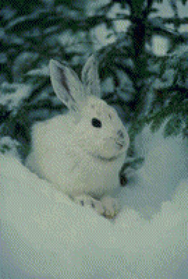 зайчик - зима, снег, заяц - предпросмотр