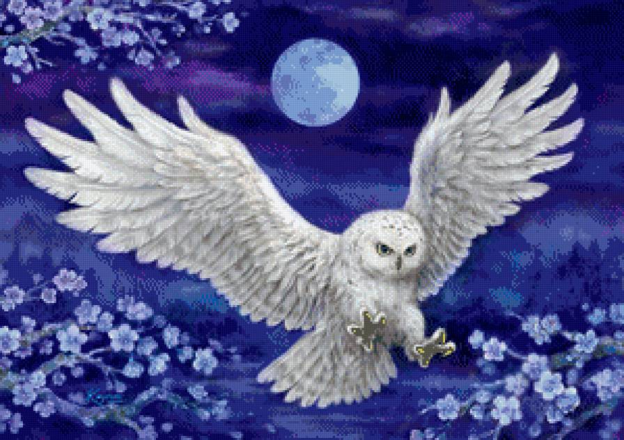 №801885 - предпросмотр