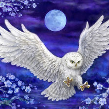 Схема вышивки «№801885»