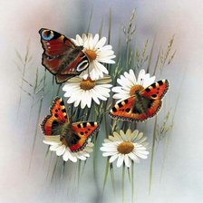 Схема вышивки «№801888»