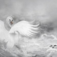 Схема вышивки «№801890»