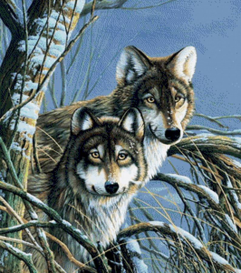 №801895 - предпросмотр