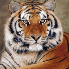 Схема вышивки «№801907»