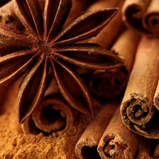 Схема вышивки «специи»