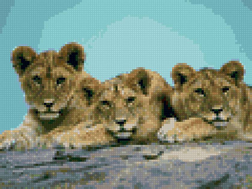 Три львенка - предпросмотр