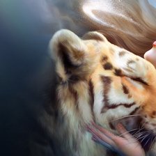 Схема вышивки «девушка и тигр»