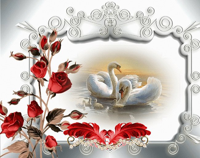 лебеді - птахи - оригинал