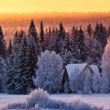 Схема вышивки «рыжая зима»