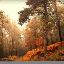 Схема вышивки «осенний пейзаж»
