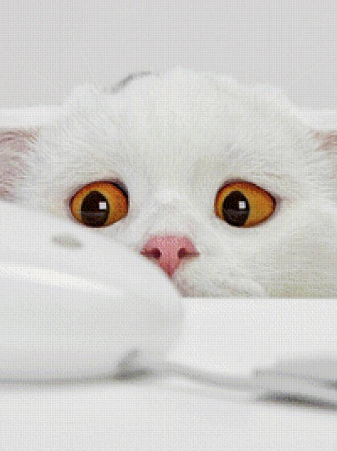 Снежок - предпросмотр