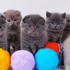 Схема вышивки «Бубочки»