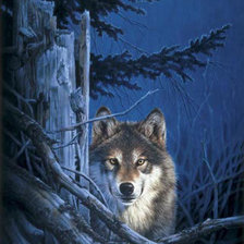 Схема вышивки «волк»