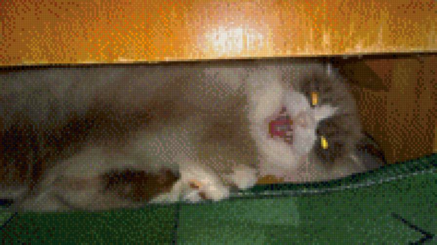 Злюка - предпросмотр