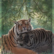 Схема вышивки «Тигры»