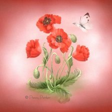 Схема вышивки «Маки и бабочка»