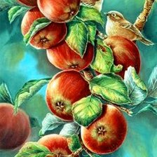 Схема вышивки «№802426»