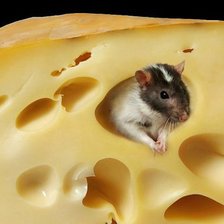 Схема вышивки «мышка»