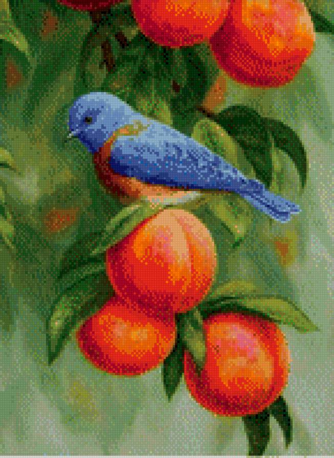 №802691 - предпросмотр