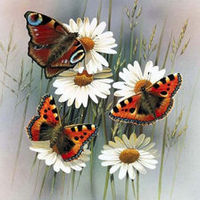 Схема вышивки «Бабочки»