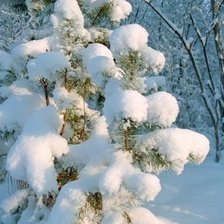 Схема вышивки «пушистый снег»