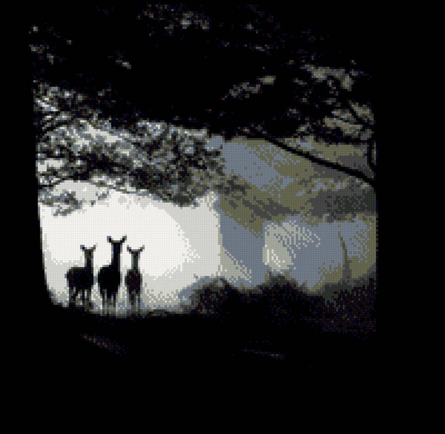 лесные жители - олени, ночь, животные, лес - предпросмотр