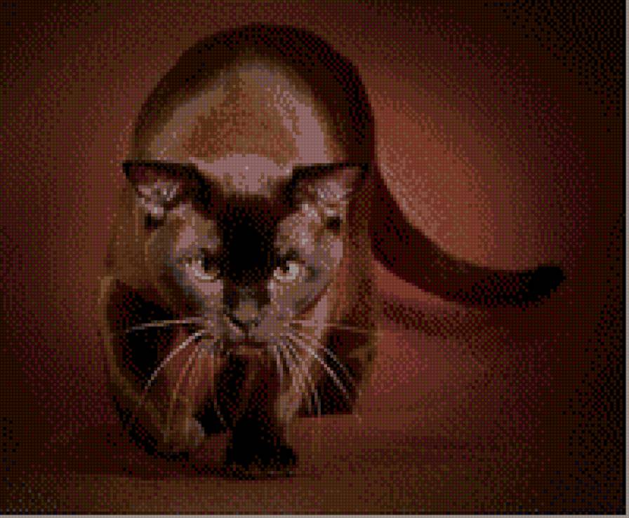 охотник - кот, животные - предпросмотр