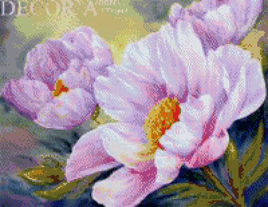 пион - пион, цветы, весна - предпросмотр