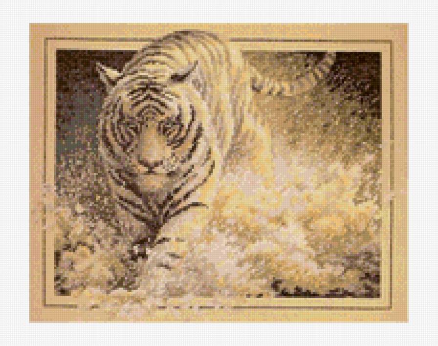 тигр - тигр - предпросмотр