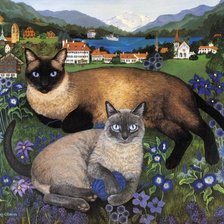 утреняя сиеста