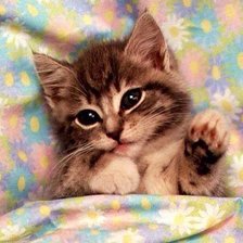 Схема вышивки «Малыш»