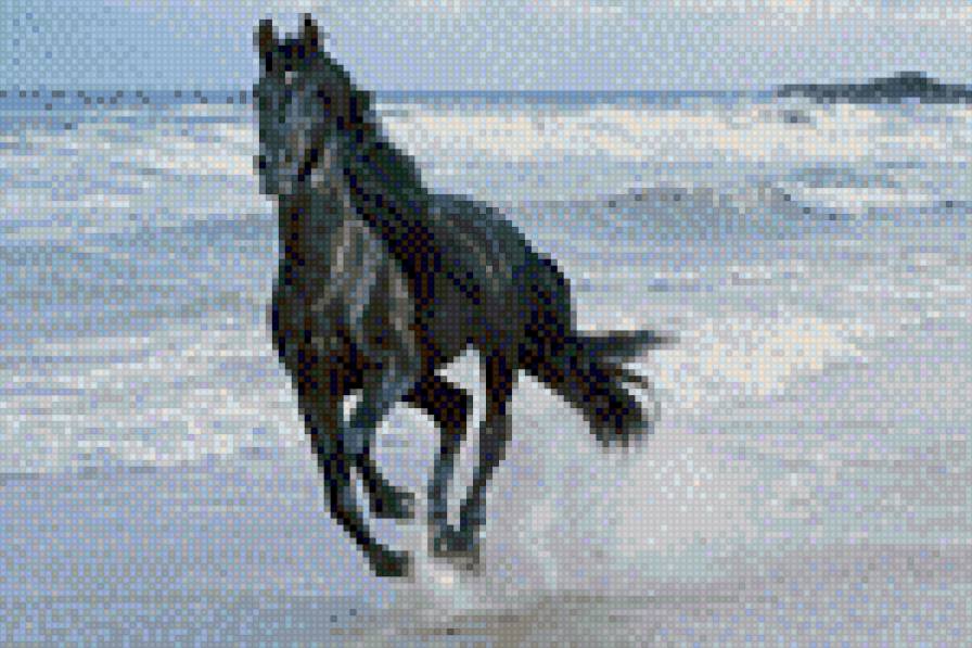 Лошадь - красота, страсть - предпросмотр