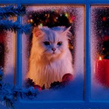 Схема вышивки «котик»