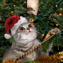 Схема вышивки «забияка 2»