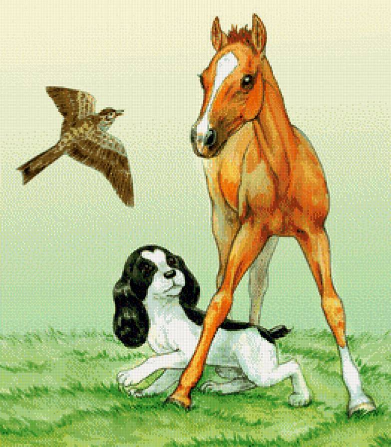 животные - лошадь, собачки, птицы, собака, лошадка, жеребенок - предпросмотр