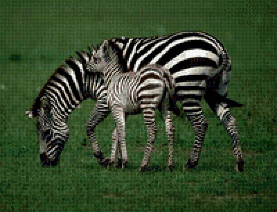 Мама рядом.. - предпросмотр