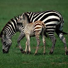 Схема вышивки «Мама рядом..»