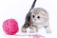 Схема вышивки «забияка 3»